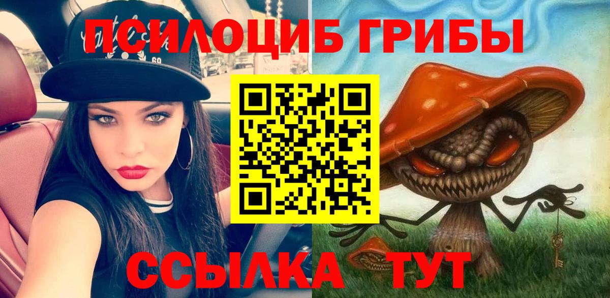 Псилоцибиновые грибы прущие грибы Химки