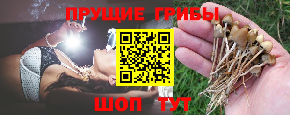 Химки  Псилоцибиновые грибы мицелий  Галлюциногенные грибы ЛСД  Вход с VPN 