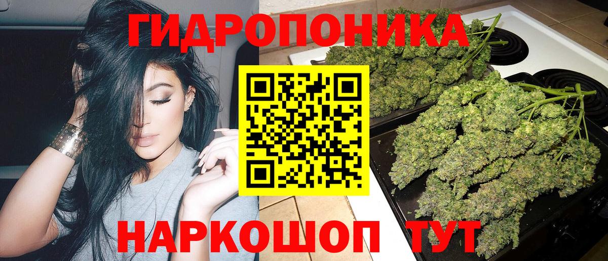 Марихуана OG Kush  Вход с VPN  Химки  Бошки марихуана Ganja 